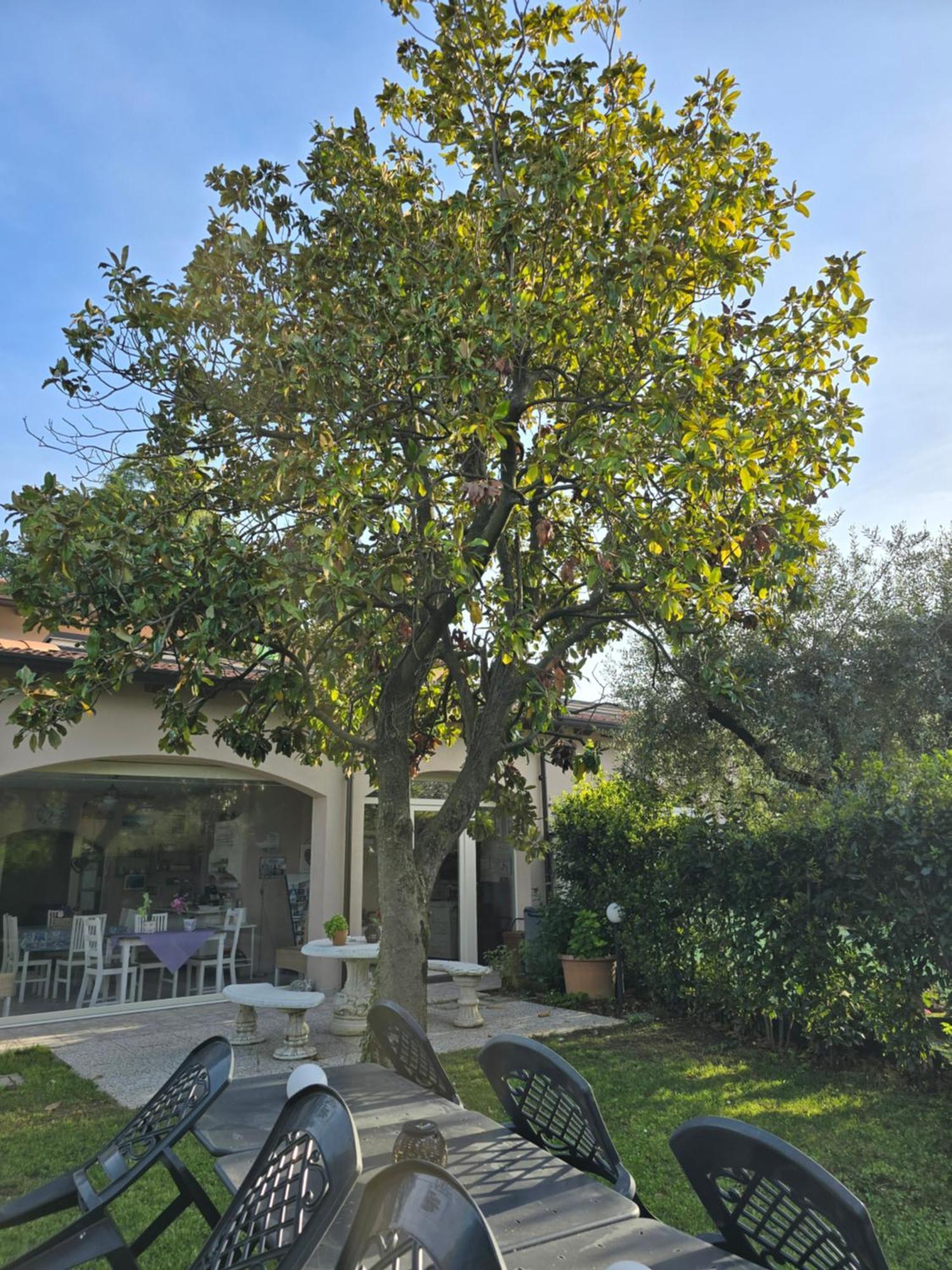 Villa Indipendente A Pochi Passi Dal Lago サン・フェリーチェ・デル・ベナーコ エクステリア 写真